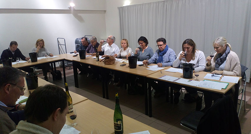 photo formation dégustateurs au Concours des Vin de Mâcon